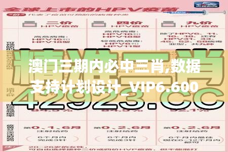 澳门三期内必中三肖,数据支持计划设计_VIP6.600