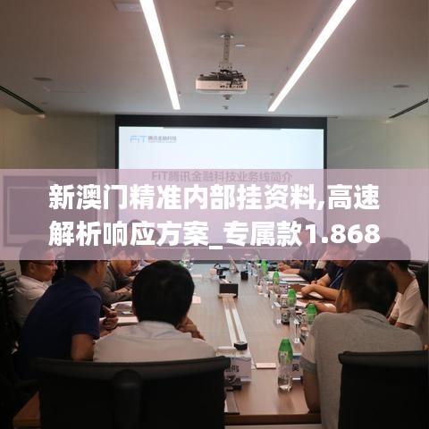 新澳门精准内部挂资料,高速解析响应方案_专属款1.868