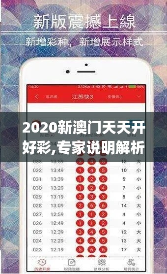 2020新澳门天天开好彩,专家说明解析_Nexus5.847