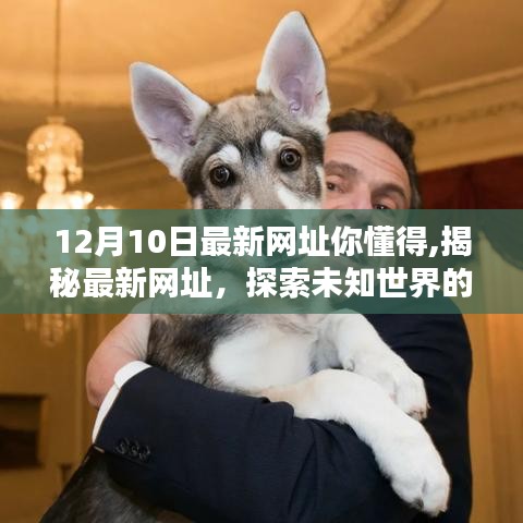 揭秘最新网址系列，探索未知世界的神秘门户（更新至12月10日）