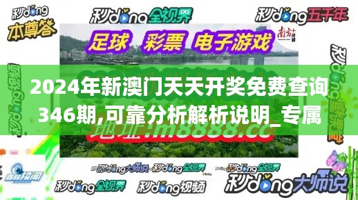 2024年新澳门天天开奖免费查询346期,可靠分析解析说明_专属版9.428