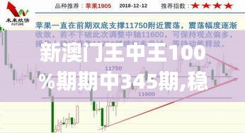 新澳门王中王100%期期中345期,稳定解析策略_DX版11.252