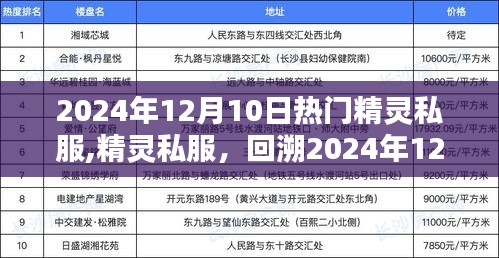 2024年12月10日潮流之巅，热门精灵私服回顾