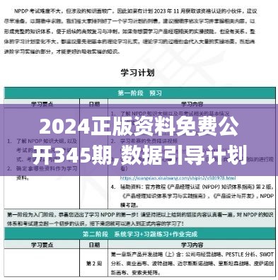 2024正版资料免费公开345期,数据引导计划设计_挑战款2.562