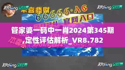管家婆一码中一肖2024第345期,定性评估解析_VR8.782