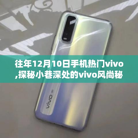 探秘vivo风尚秘境，手机爱好者的隐藏天堂（12月10日热门回顾）