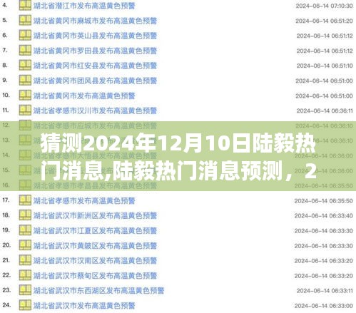 陆毅2024年12月10日展望，热门消息预测与深度评测