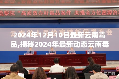 揭秘深度解析，云南毒品现状及其危害深度解析，共同守护家园安宁（警惕毒品危害）