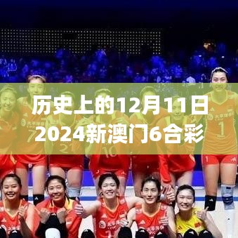 历史上的12月11日2024新澳门6合彩官方网,最新核心解答定义_NE版9.269