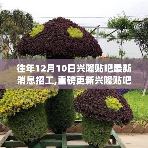 兴隆贴吧揭秘，科技革新下的梦幻招工利器，智能体验时代来临！