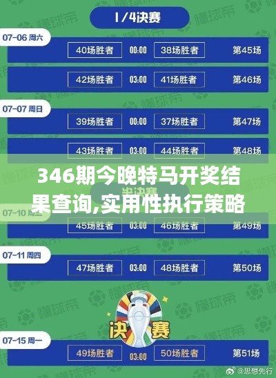 346期今晚特马开奖结果查询,实用性执行策略讲解_黄金版4.690