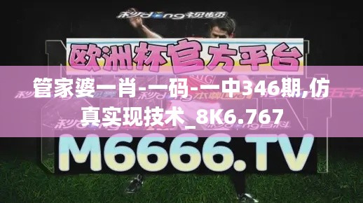 管家婆一肖-一码-一中346期,仿真实现技术_8K6.767