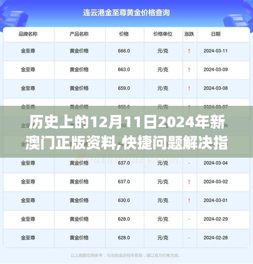 历史上的12月11日2024年新澳门正版资料,快捷问题解决指南_交互版5.785