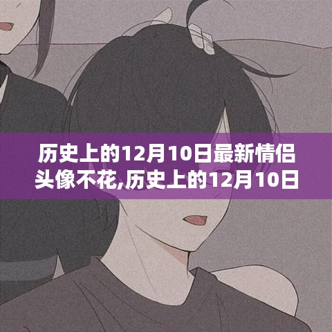 历史上的12月10日最新情侣头像全解析，免费、优质，深度评测与介绍