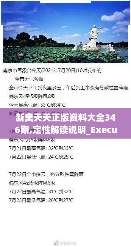 新奥天天正版资料大全346期,定性解读说明_Executive4.408