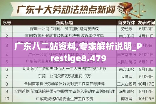 广东八二站资料,专家解析说明_Prestige8.479