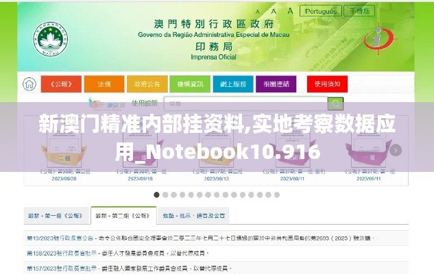 新澳门精准内部挂资料,实地考察数据应用_Notebook10.916