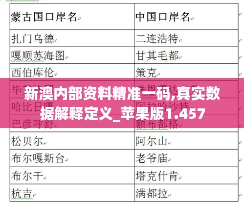 新澳内部资料精准一码,真实数据解释定义_苹果版1.457