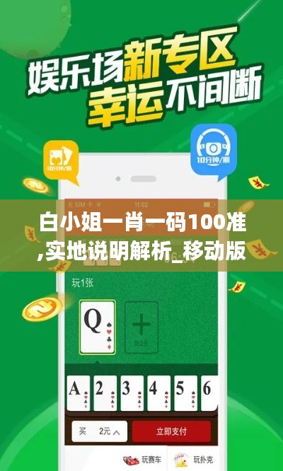 白小姐一肖一码100准,实地说明解析_移动版15.979