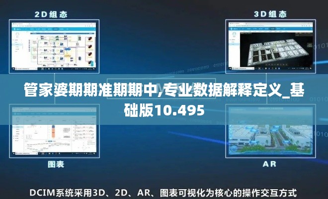 管家婆期期准期期中,专业数据解释定义_基础版10.495