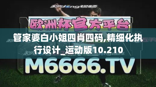 管家婆白小姐四肖四码,精细化执行设计_运动版10.210