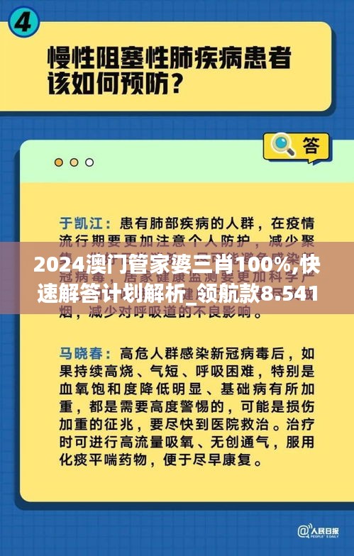 2024澳门管家婆三肖100%,快速解答计划解析_领航款8.541