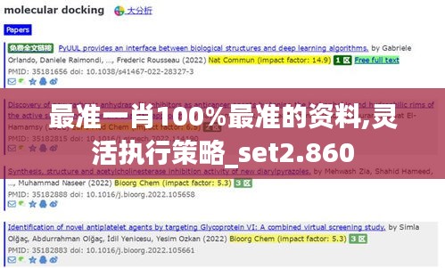 最准一肖100%最准的资料,灵活执行策略_set2.860