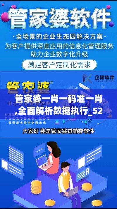 管家婆一肖一码准一肖,全面解析数据执行_S2.441