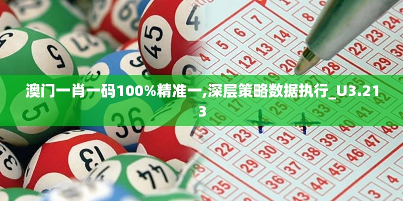 澳门一肖一码100%精准一,深层策略数据执行_U3.213