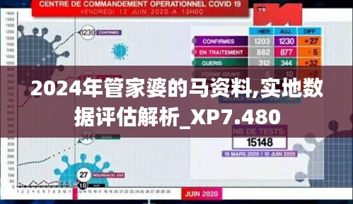 2024年管家婆的马资料,实地数据评估解析_XP7.480