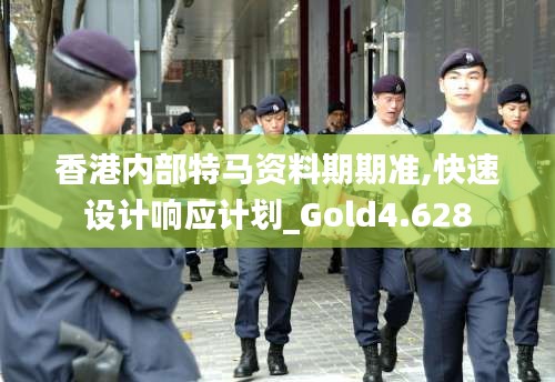 香港内部特马资料期期准,快速设计响应计划_Gold4.628