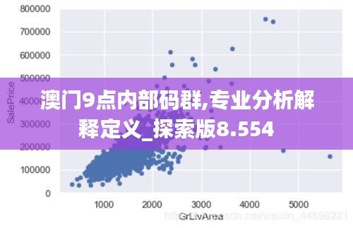 澳门9点内部码群,专业分析解释定义_探索版8.554