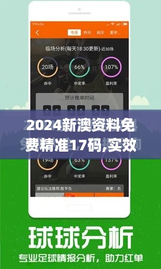 2024新澳资料免费精准17码,实效性解读策略_DP8.676