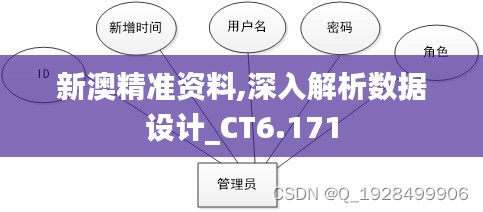 新澳精准资料,深入解析数据设计_CT6.171