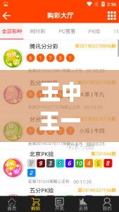 王中王一码一肖一特一中1,可靠数据解释定义_挑战款2.472
