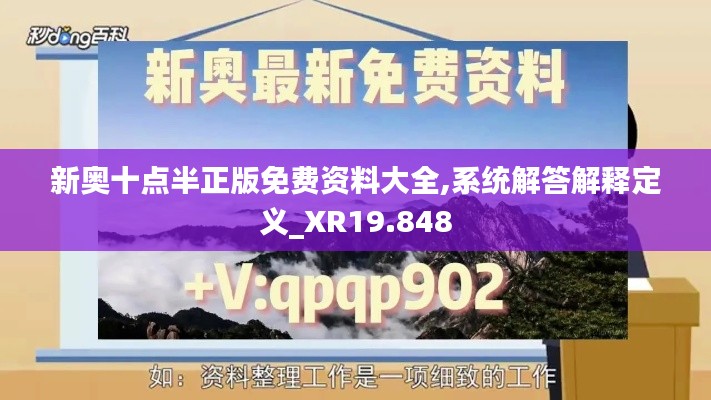 新奥十点半正版免费资料大全,系统解答解释定义_XR19.848