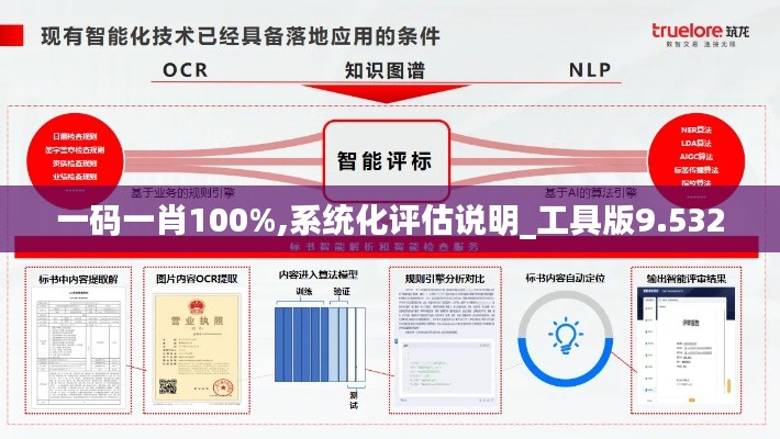 一码一肖100%,系统化评估说明_工具版9.532
