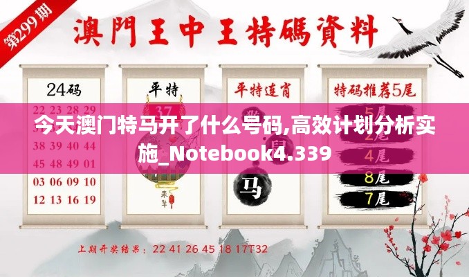 今天澳门特马开了什么号码,高效计划分析实施_Notebook4.339