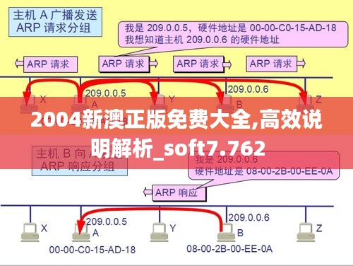 2004新澳正版免费大全,高效说明解析_soft7.762