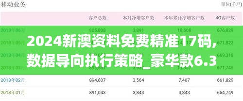 2024新澳资料免费精准17码,数据导向执行策略_豪华款6.341