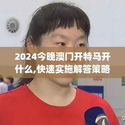 2024今晚澳门开特马开什么,快速实施解答策略_tool8.582