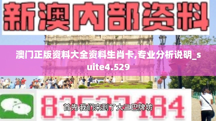 澳门正版资料大全资料生肖卡,专业分析说明_suite4.529