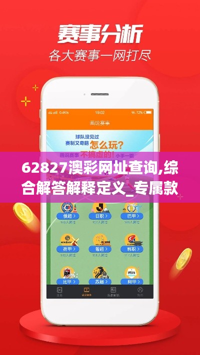 62827澳彩网址查询,综合解答解释定义_专属款12.394