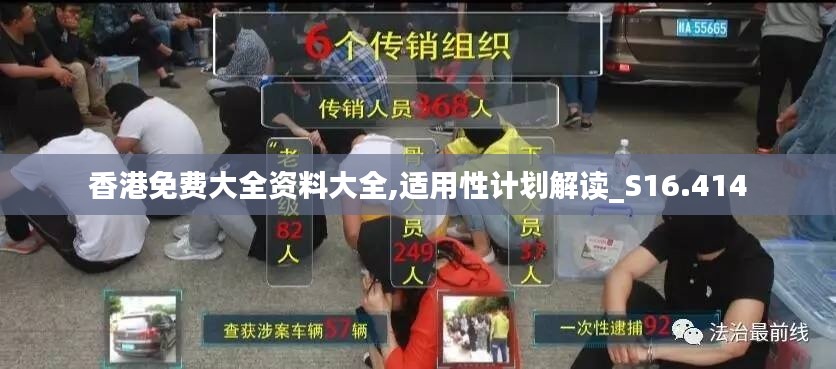 香港免费大全资料大全,适用性计划解读_S16.414