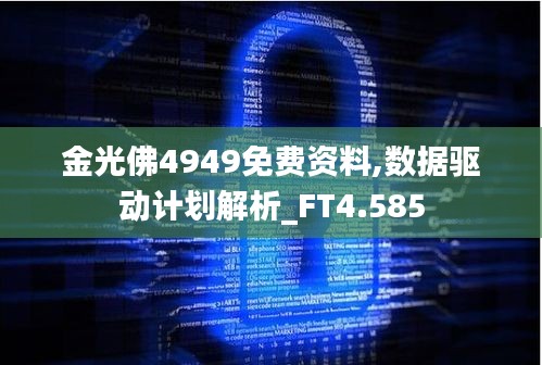 金光佛4949免费资料,数据驱动计划解析_FT4.585