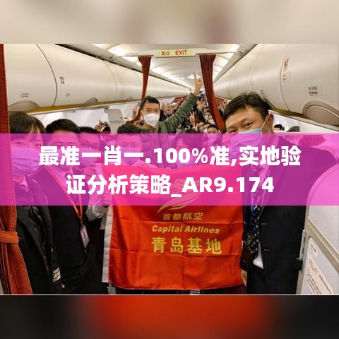 最准一肖一.100%准,实地验证分析策略_AR9.174