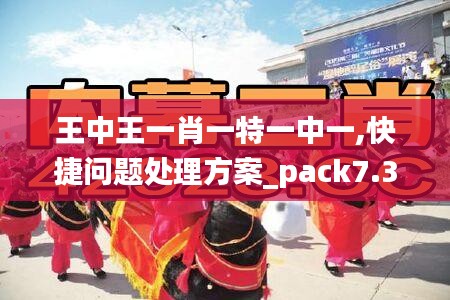 王中王一肖一特一中一,快捷问题处理方案_pack7.348