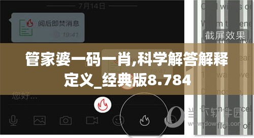 管家婆一码一肖,科学解答解释定义_经典版8.784
