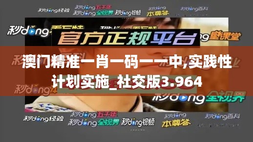 澳门精准一肖一码一一中,实践性计划实施_社交版3.964