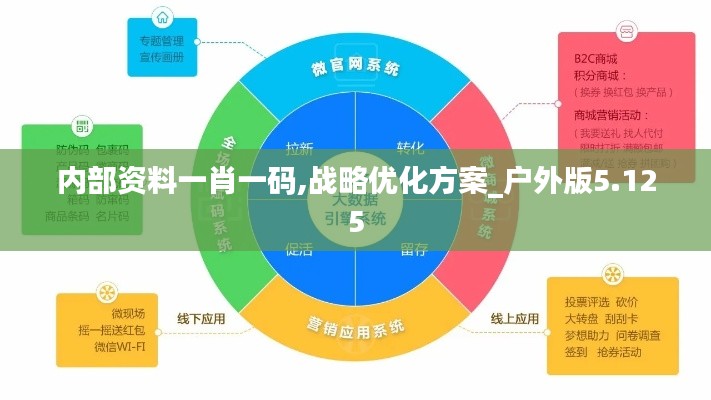内部资料一肖一码,战略优化方案_户外版5.125